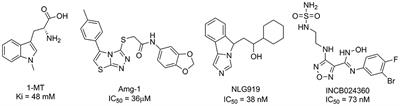 Discovery of Novel Inhibitors of Indoleamine 2,3-Dioxygenase 1 Through Structure-Based Virtual Screening